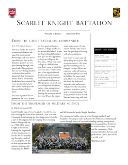 Scarlet Knight Battalion