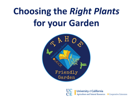 Choosing the Right Plants for Your Garden “Right Plant, Right Place”
