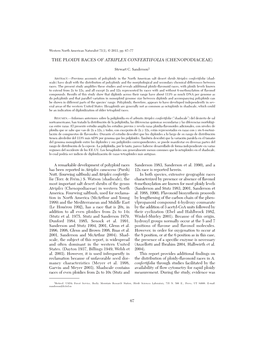 The Ploidy Races of Atriplex Confertifolia (Chenopodiaceae)