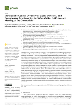 Intraspecific Genetic Diversity of Cistus Creticus L. and Evolutionary