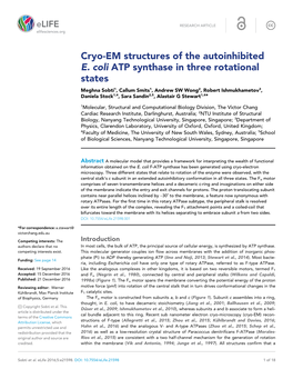 Cryo-EM Structures of the Autoinhibited E. Coli ATP Synthase in Three Rotational States