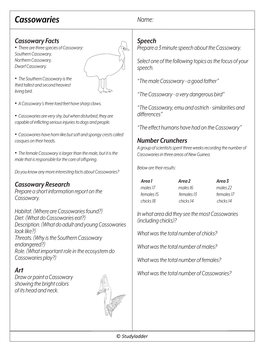 Cassowaries V2