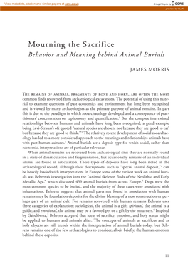 Mourning the Sacrifice Behavior and Meaning Behind Animal Burials