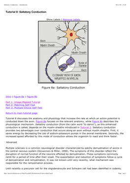 Tutorial 8: Saltatory Conduction Figure 8A