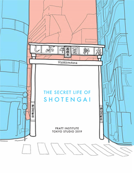 The Secret Life of Shotengai