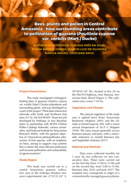 Bees, Plants and Pollen in Central Amazonia - How Surrounding Areas Contribute to Pollination of Guarana (Paullinia Cupana Var