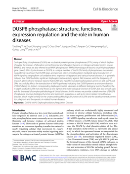 DUSP8 Phosphatase: Structure, Functions, Expression Regulation