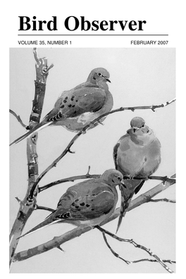 Bird Observer VOLUME 35, NUMBER 1 FEBRUARY 2007 HOT BIRDS