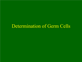 Primordial Germ Cells