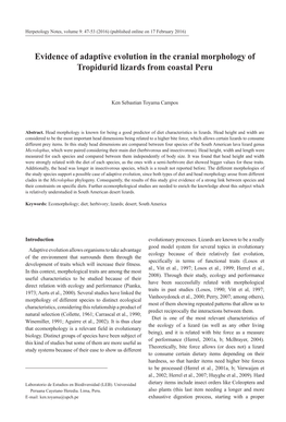 Evidence of Adaptive Evolution in the Cranial Morphology of Tropidurid Lizards from Coastal Peru