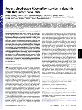 Rodent Blood-Stage Plasmodium Survive in Dendritic Cells That Infect Naive Mice