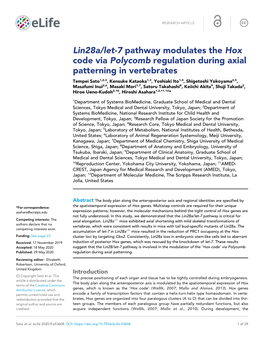 Lin28a/Let-7 Pathway Modulates the Hox Code Via Polycomb Regulation