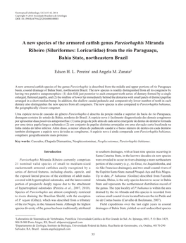 A New Species of the Armored Catfish Genus Pareiorhaphis Miranda Ribeiro (Siluriformes: Loricariidae) from the Rio Paraguaçu, Bahia State, Northeastern Brazil