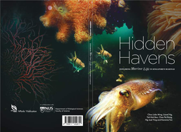Hidden Havens: Exploring Marine Life in Singapore's Marinas