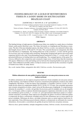 Feeding Biology of a Guild of Benthivorous Fishes in a Sandy Shore on South-Eastern Brazilian Coast