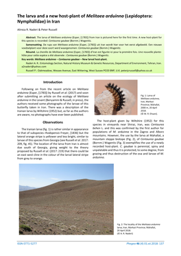 The Larva and a New Host-Plant of Melitaea Arduinna (Lepidoptera: Nymphalidae) in Iran