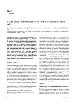 DAZL Binds to the Transcripts of Several Tssk Genes in Germ Cells