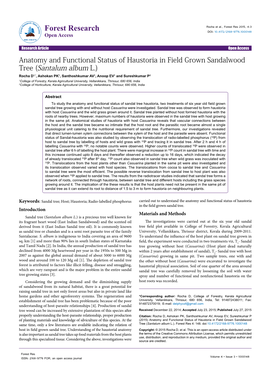 Anatomy and Functional Status of Haustoria in Field Grown