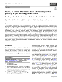 Coupling of Terminal Differentiation Deficit with Neurodegenerative Pathology in Vps35-Deficient Pyramidal Neurons
