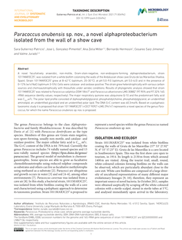 Paracoccus Onubensis Sp. Nov., a Novel Alphaproteobacterium Isolated from the Wall of a Show Cave