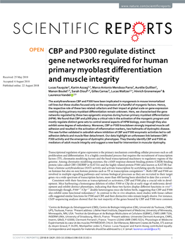 CBP and P300 Regulate Distinct Gene Networks Required for Human