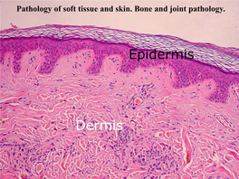 Pathology of Soft Tissue and Skin. Bone and Joint Pathology. Pathology of Soft Tissue and Skin