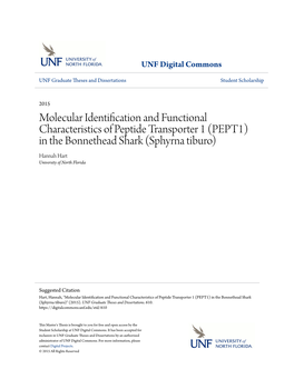 In the Bonnethead Shark (Sphyrna Tiburo) Hannah Hart University of North Florida