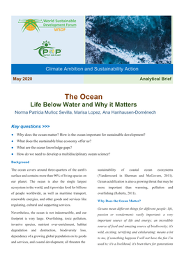 The Ocean Life Below Water and Why It Matters Norma Patricia Muñoz Sevilla, Marisa Lopez, Ana Hanhausen-Doménech