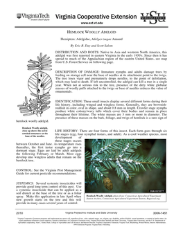 HEMLOCK WOOLLY ADELGID Hemiptera: Adelgidae, Adelges