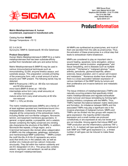 Matrix Metalloproteinase -9, Human Recombinant, Expressed in Transfected Cells