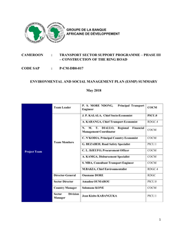 Cameroon : Transport Sector Support Programme – Phase Iii – Construction of the Ring Road