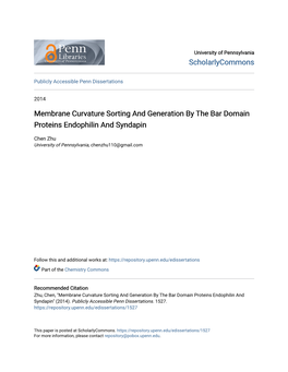 Membrane Curvature Sorting and Generation by the Bar Domain Proteins Endophilin and Syndapin