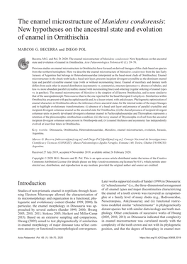 The Enamel Microstructure of Manidens Condorensis: New Hypotheses on the Ancestral State and Evolution of Enamel in Ornithischia