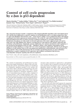 Control of Cell Cycle Progression by C-Jun Is P53 Dependent