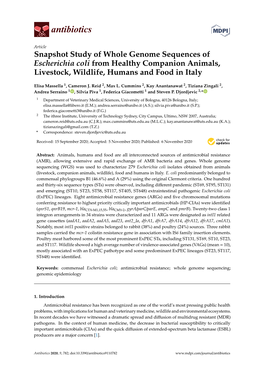 Snapshot Study of Whole Genome Sequences of Escherichia Coli from Healthy Companion Animals, Livestock, Wildlife, Humans and Food in Italy