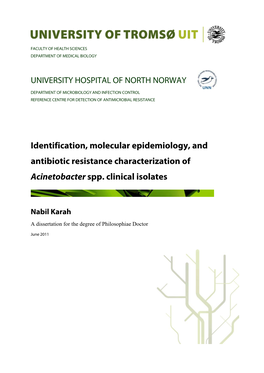 Identification, Molecular Epidemiology, and Antibiotic Resistance Characterization of Acinetobacter Spp