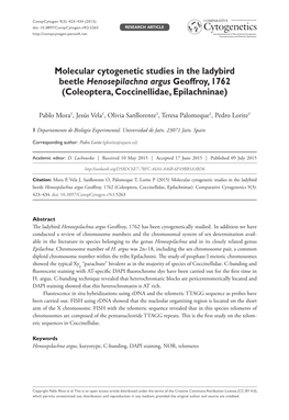 ﻿Molecular Cytogenetic Studies in the Ladybird Beetle Henosepilachna Argus Geoffroy, 1762 (Coleoptera, Coccinellidae, Epilachn