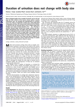 Duration of Urination Does Not Change with Body Size