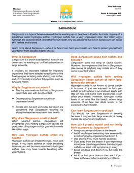 Why Does Sargassum Smell So Bad? How Can Hydrogen Sulfide Affect My