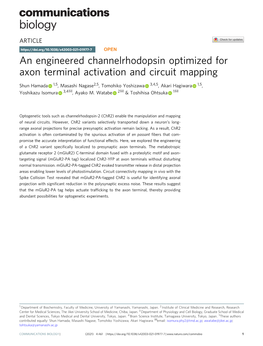 An Engineered Channelrhodopsin Optimized for Axon Terminal Activation and Circuit Mapping