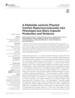 A Klebsiella Variicola Plasmid Confers Hypermucoviscosity-Like Phenotype and Alters Capsule Production and Virulence