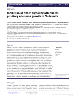 Inhibition of Notch Signaling Attenuates Pituitary Adenoma Growth in Nude Mice