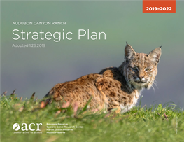 Strategic Plan Adopted 1.26.2019