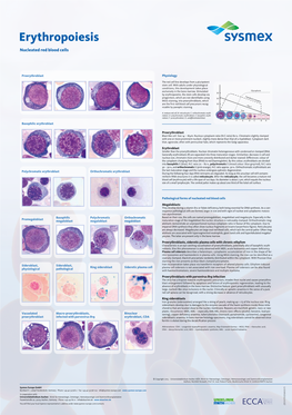 Nucleated Red Blood Cells