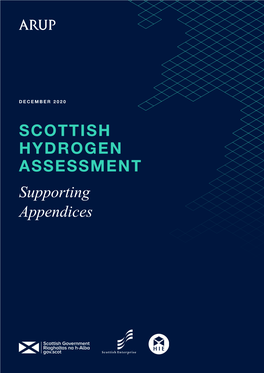 Hydrogen-Assessment-Project-Appendix.Pdf