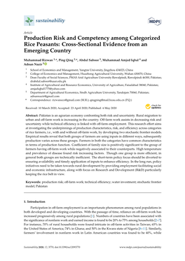 Production Risk and Competency Among Categorized Rice Peasants: Cross-Sectional Evidence from an Emerging Country