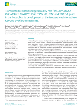 Transcriptomic Analysis Suggests a Key Role for SQUAMOSA