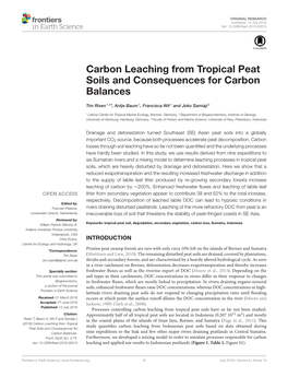 Carbon Leaching from Tropical Peat Soils and Consequences for Carbon Balances