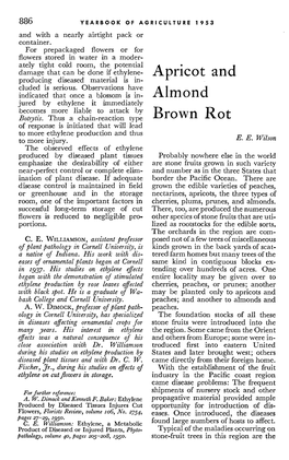 APRICOT and ALMOND BROWN ROT 887 Two Brown Rot Diseases