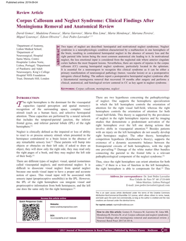 Corpus Callosum and Neglect Syndrome